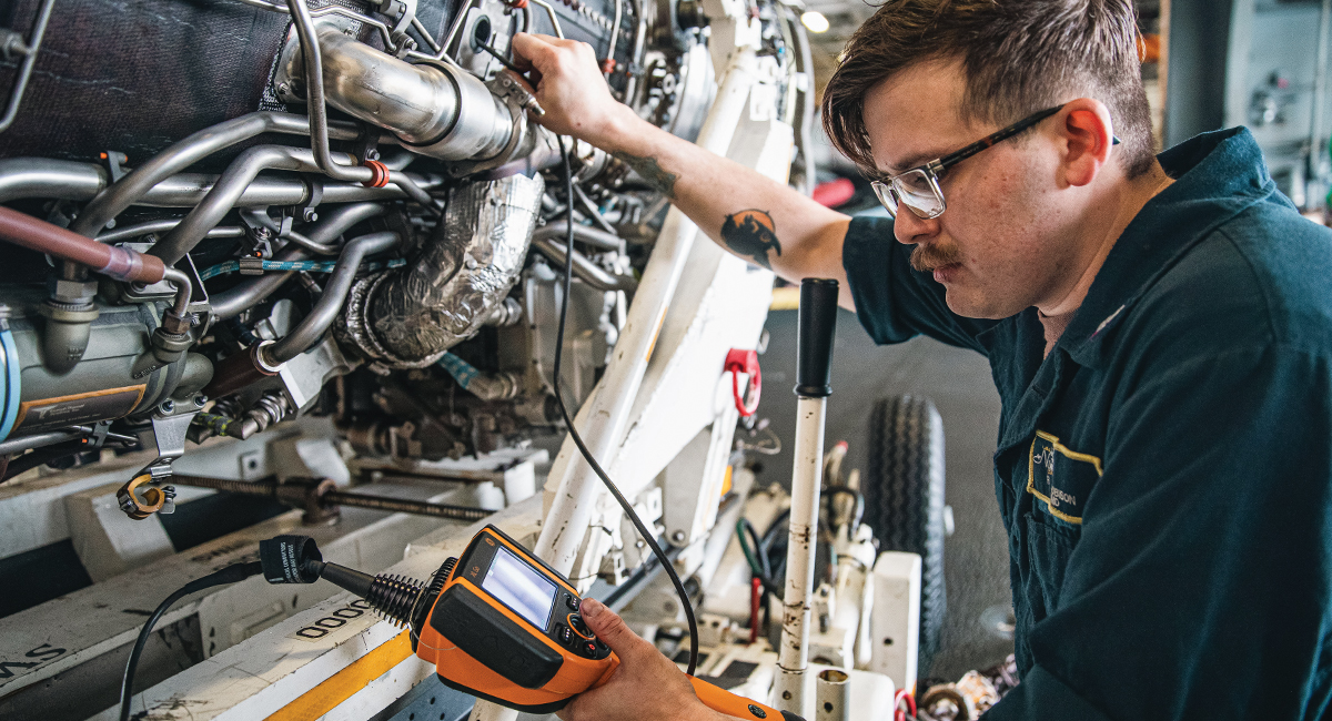 Borescope inspection type image